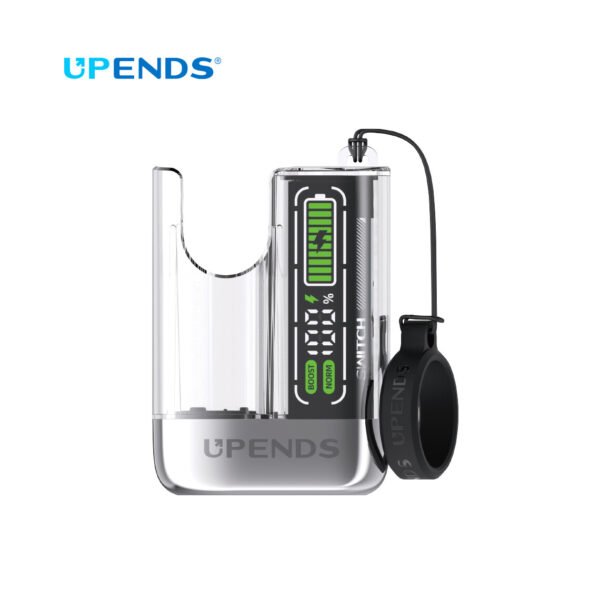Switch Pro Battery